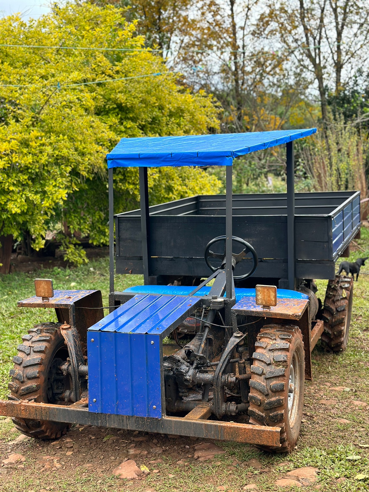 Carreta agrícola 4x2